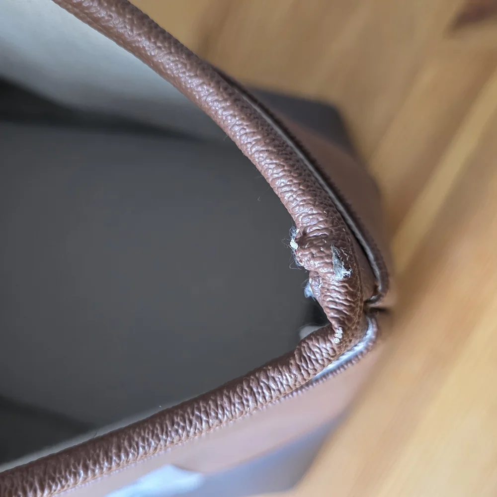 Tailfour Portable Travel Pet Carrier